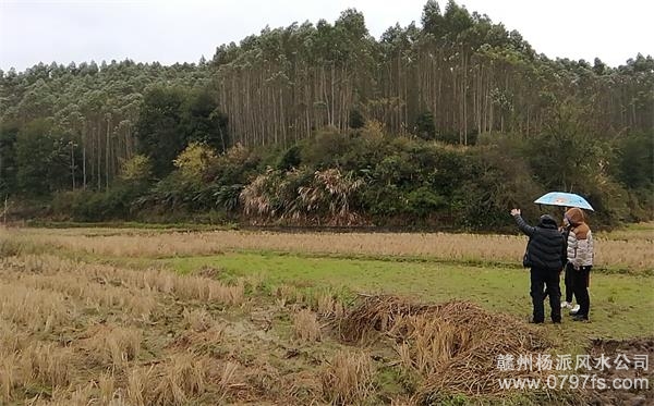 泉州市陈老师带着爱徒寻龙点穴